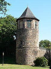 Höchster Altstadt: Entwicklung, Gefahren für den Baubestand, Historische Bauwerke