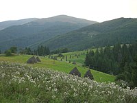 Beskids