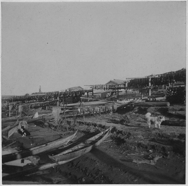 File:On Yukon. Canoes on bank, fish drying on poles. - NARA - 297222.jpg