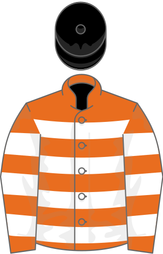 <span class="mw-page-title-main">Covert Love</span> Irish-bred Thoroughbred racehorse