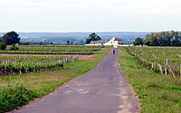 Une propriété viticole dans le Maine-et-Loire.