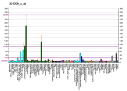 PBB GE C5orf13 201309 x fs.png'de