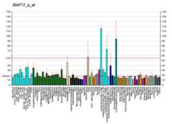 PBB GE SLC29A2 204717 s bei fs.png