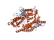 PDB 1s4b EBI.jpg