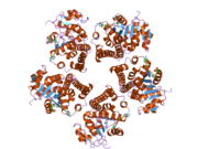 2gra: crystal structure of Human Pyrroline-5-carboxylate Reductase complexed with nadp