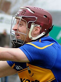 <span class="mw-page-title-main">Paddy Stapleton</span> Irish hurler