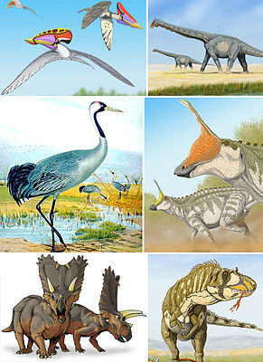 Vários membros do Ornithodira, no sentido horário a partir do canto superior esquerdo: Tupuxuara, Alamosaurus, Tsintaosaurus, Daspletosaurus, Pentaceratops, crane (Grus grus).