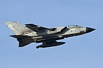 Panavia Tornado IDS, Italy - Air Force JP7737850.jpg
