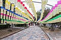 * Nomination Paper lanterns at Tongdosa Temple, South Korea --Bgag 00:33, 21 February 2024 (UTC) * Promotion  Support Good quality. --Rjcastillo 00:38, 21 February 2024 (UTC)