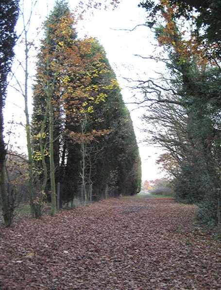 File:Path to Rayleigh Weir - geograph.org.uk - 623093.jpg