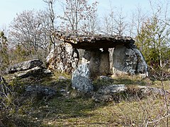 Le dolmen de Peyrelevade.