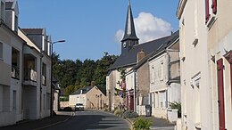 Pellouailles-les-Vignes - Vue