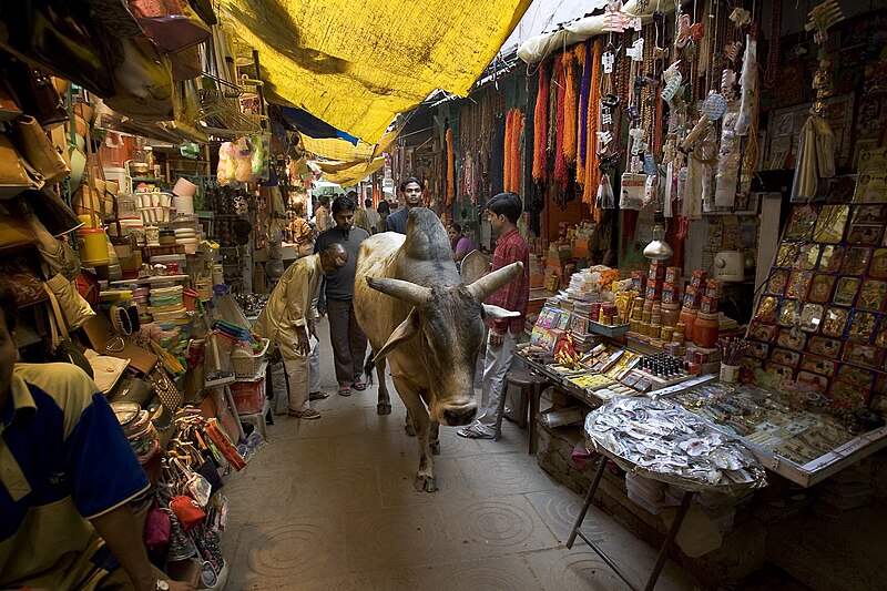File:People, cattle in Varanasi, Uttar Pradesh, India (2005).jpg