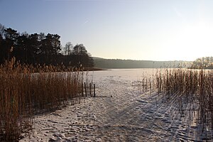 Petersdorfer Ver em Winter.jpg