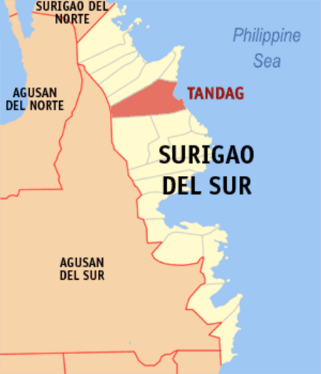 Ph locator surigao del sur tandag.png