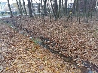 The Piepenbach in Werne on the edge of the city forest with a view of the Goetheweg