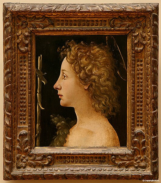 File:Piero di Cosimo petit saint jean.jpg