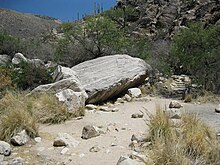 Pima Canyon Trail boulder, looking up the canyon at the first canyon crossing