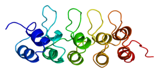 CDKN2C Protein-coding gene in the species Homo sapiens