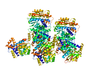 Leucine carboxyl methyltransferase 1