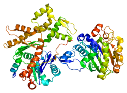 Ақуыз WIPF1 PDB 2a41.png