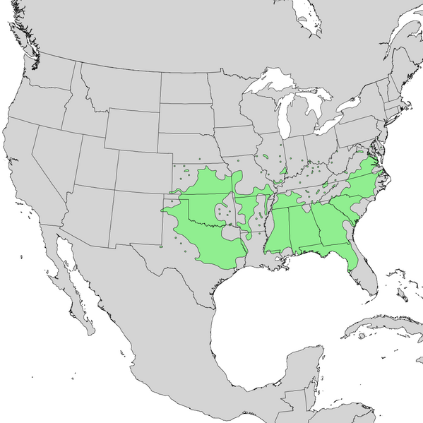 File:Prunus angustifolia range map 1.png