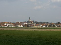 Pohled na vesnici ze silnice na Ražice.