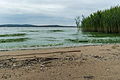 Quitzdorfer Stausee