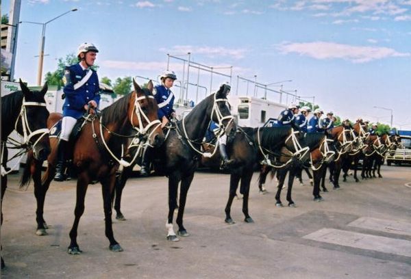 The horses of the New South Wales Mounted Police show some of the typical variations in the bay color.