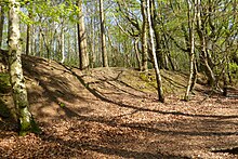 Bank on the southwestern ramparts of the hillfort Ramparts on the Southwest of Oldbury Hillfort, Kent.jpg