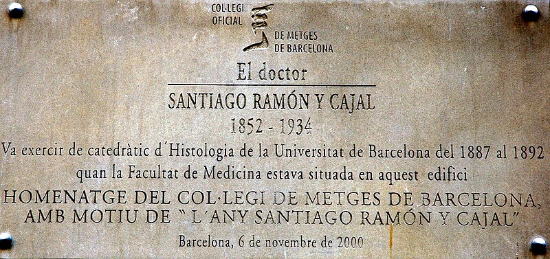 File:Reial Acadèmia de Medicina de Catalunya - Santiago Ramón y Cajal.JPG