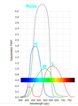 Cone and rod response curves. Note that a purple response is elicited in the brain by stimulating H and L (through its secondary sensitivity) cones but little to no M stimulus.