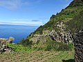 Ribeira Funda, Seixal, Madeira - 2016-05-22 - IMG 2363.jpg