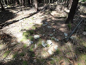 Remnants of masonry can be found scattered on the forest floor