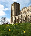 Ripon Cathedral