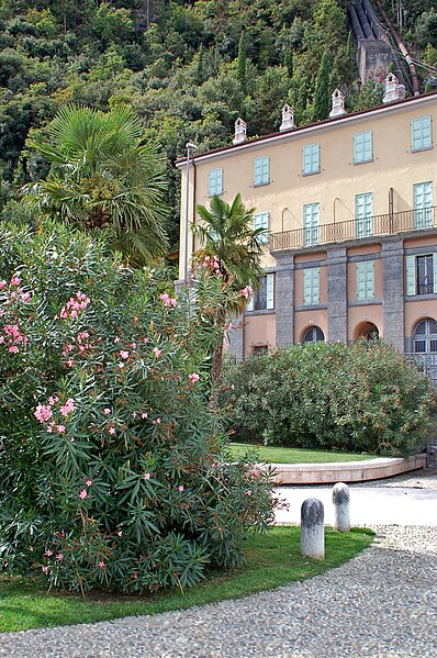 File:Riva del Garda - Altstadt (27) - Uferpromenade (37122670313).jpg