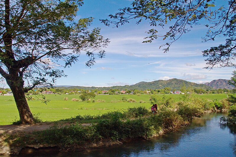 File:River bank, Vintar.jpg