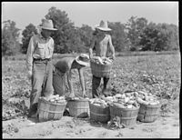 Rohwer Relocation Center, McGehee, Arkansas