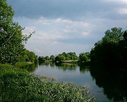 Ros river Sukholesi.jpg