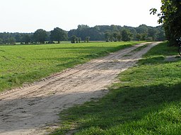 Südlohner Pickerweg in Lohne