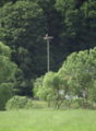 English: Landscape Protection Area "Auenverbund Fulda" near Pfordt, Schlitz, Hesse, Germany