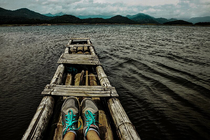 File:Selfie shot of a shod man on a wooden raft, Parabikulam-India 2015-07-09.jpg