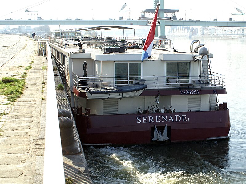 File:Serenade 1 (ship, 2005) 010.jpg