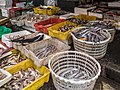 Shanghai Markt Fisch Auslagen-20150516-RM-115200.jpg
