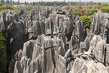Teams visited Stone Forest outside Kunming for a Roadblock paying homage to Yunnan's contributions to the field of paleontology. Shilin Yunnan China Shilin-Stone-Forest-01.jpg
