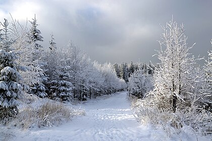 Inverno nos Beskides, região da Morávia-Silésia, República Tcheca. (definição 3 056 × 2 037)