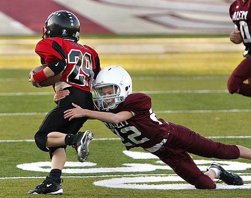 South Salem Falcons vs. Bedford