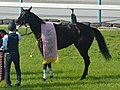 2022年9月15日 (木) 10:24時点における版のサムネイル