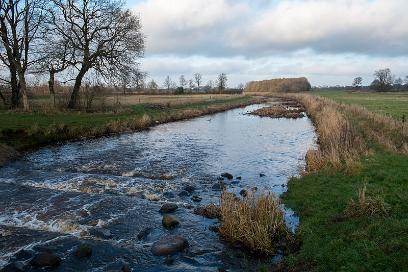 File:Sterrebos - Lieversche Diep - noorden.jpg