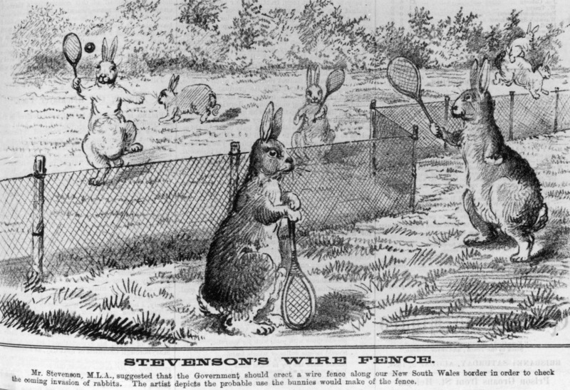 File:Stevensons wire fence, 1884.tiff
